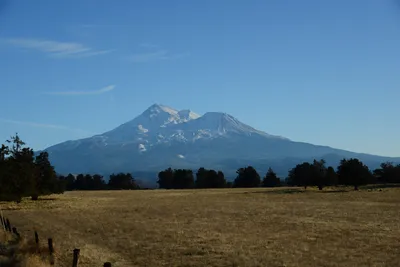 DSC_2989 (Large).JPG